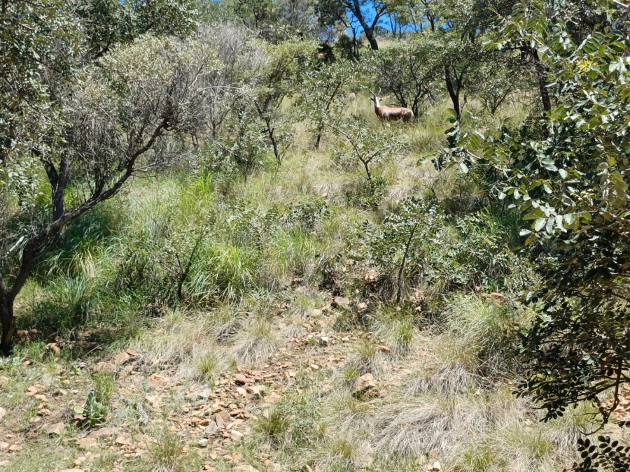 Commercial Property for Sale in Bokfontein A H North West